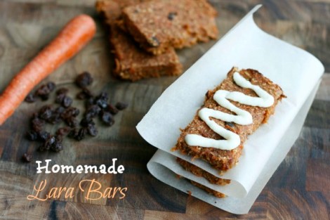 homemade-larabars-picm